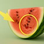 Wenn die Wassermelone dieses Warnzeichen zeigt: Warum ein zweiter Blick vor dem Anschneiden lohnt
